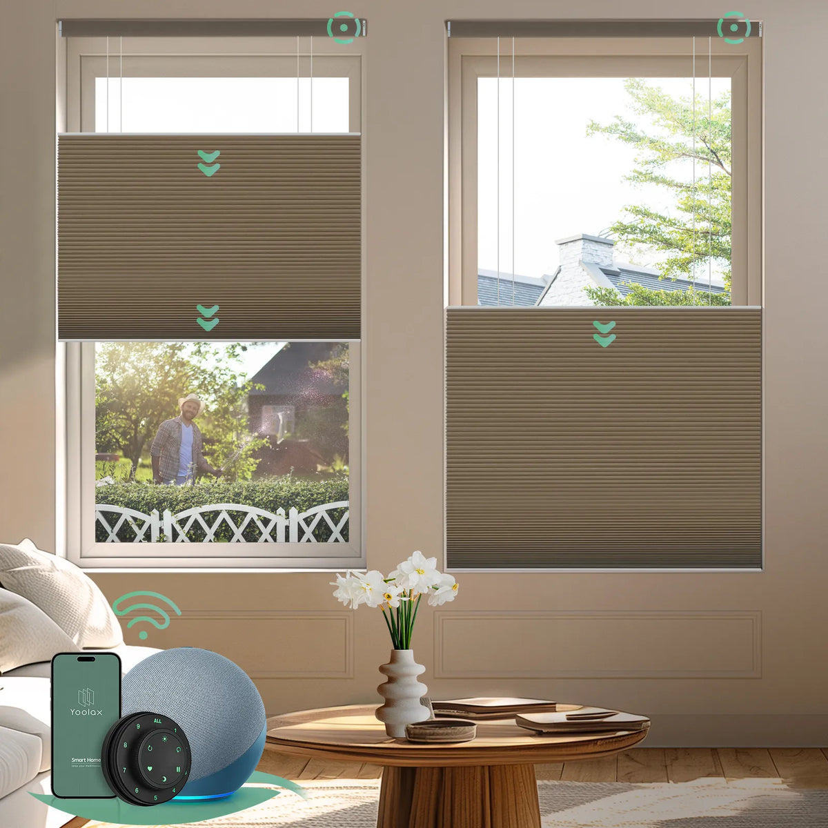 Motorized top down bottom up cellular shades with blackout coffee fabric, designed for maximum privacy and light control in any space.