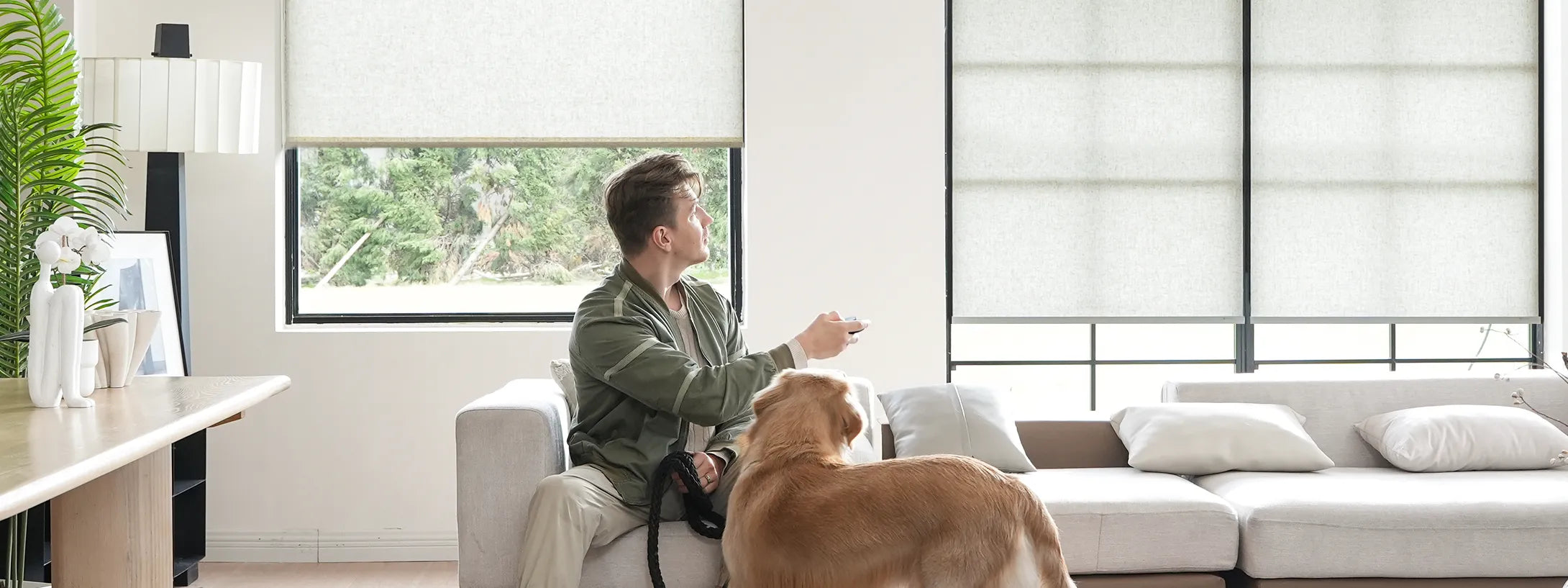 Discover why Yoolax is your trusted choice for innovative and stylish smart window shades.