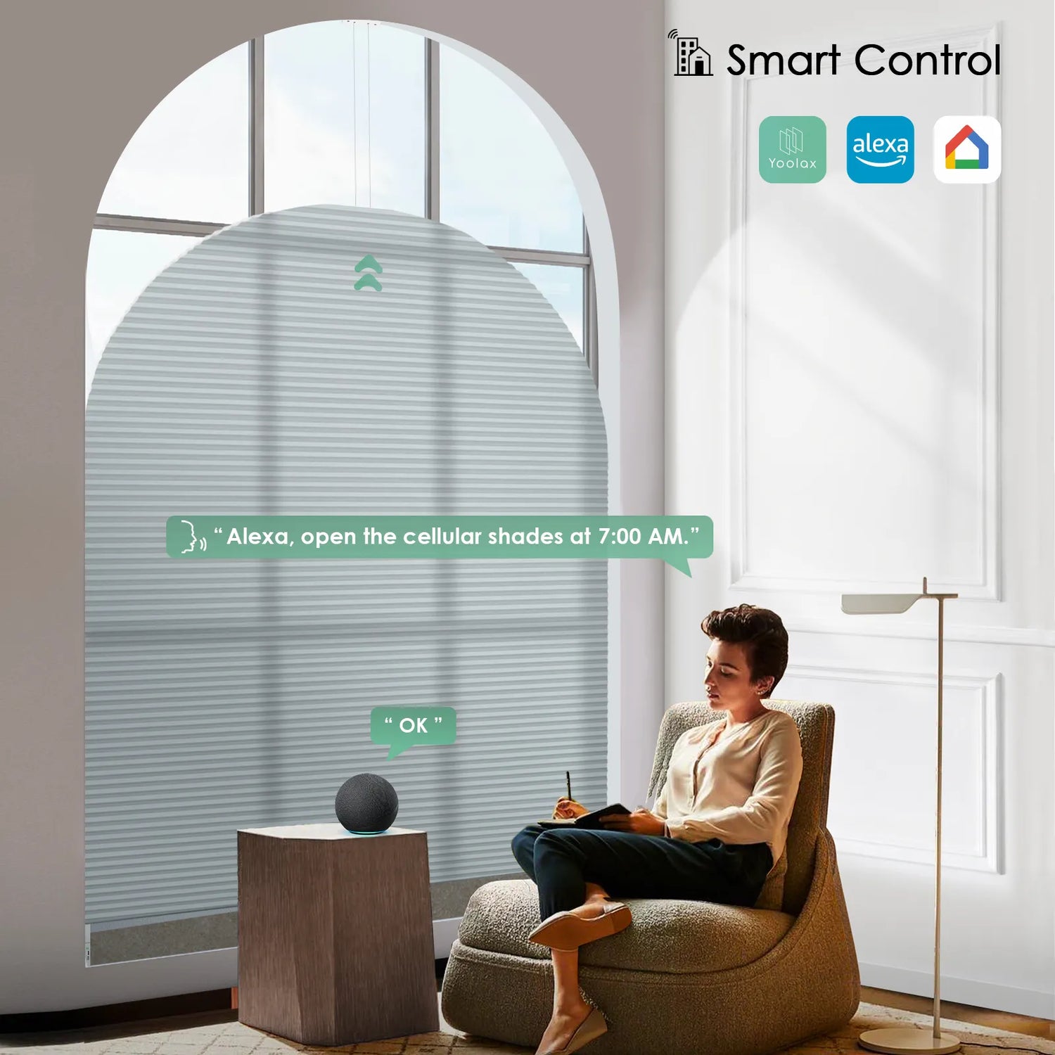 Smart control with voice, app, and timer functions