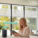 Motorized top down bottom up roman shades with voice control, app control, and timer functions