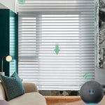 Yoolax Motorized Shangri-la Sheer Shades