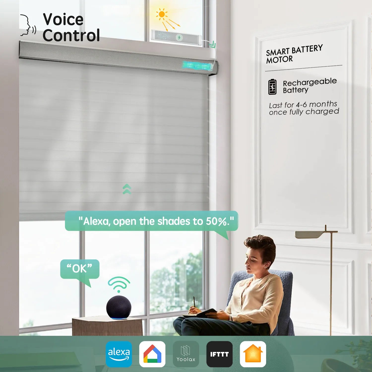 Grey 55mm horizontal sheer shades with voice control, seamlessly working with Alexa, Google Home, and HomeKit and more.