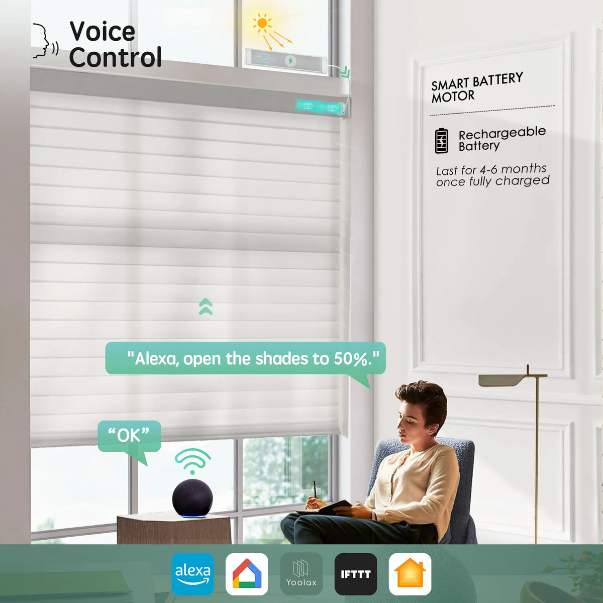 Light gray 75mm sheer shades with voice control, compatible with Alexa, Google Home, Apple HomeKit, and more.