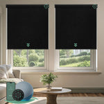 Motorized blackout roller shades with black fabric, delivering full light blockage and enhanced privacy