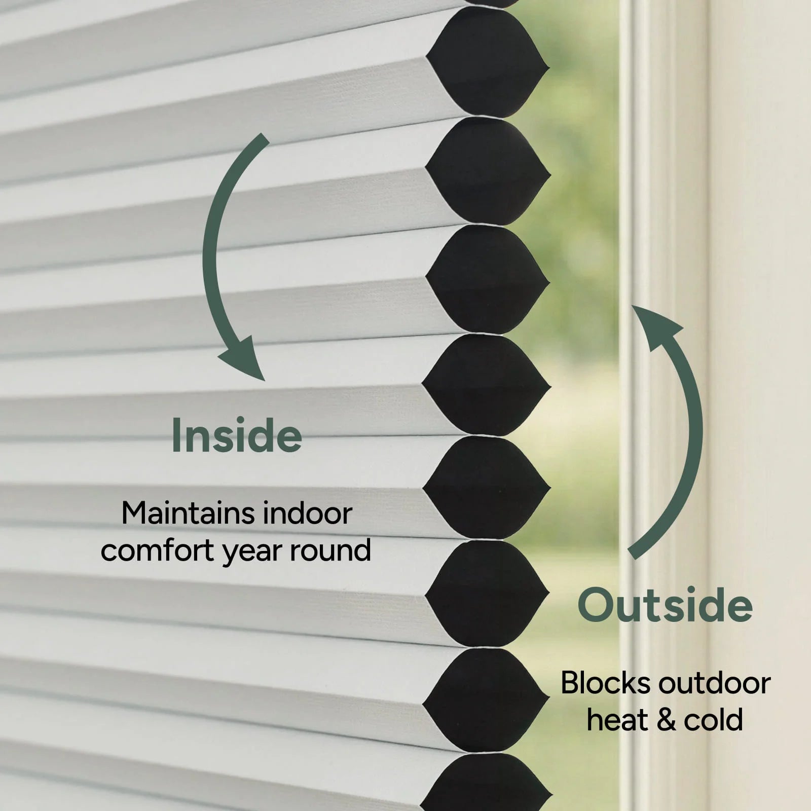 Cross section of honeycomb cellular shades showing layered structure