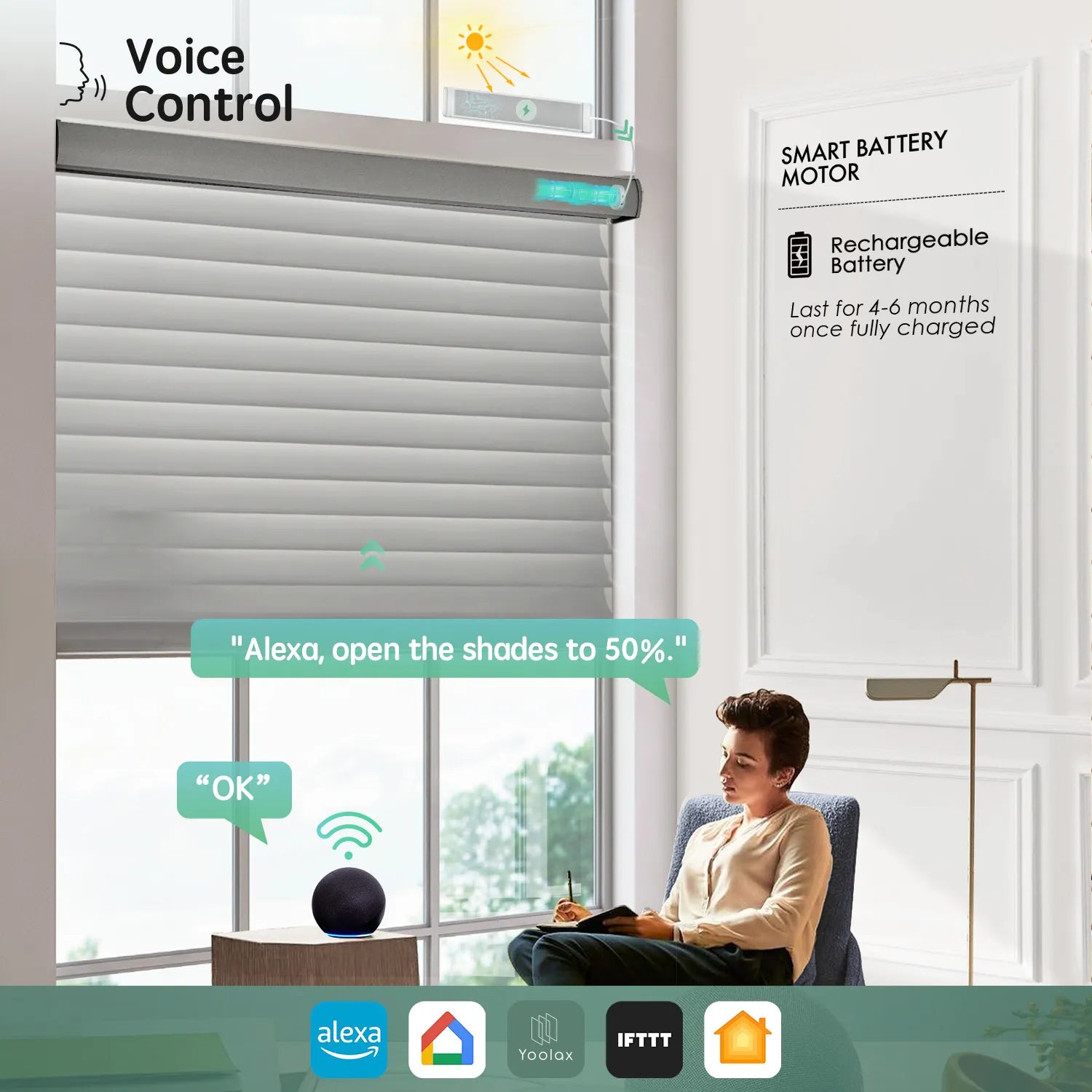 Grey 55mm horizontal sheer shades with voice control, seamlessly working with Alexa, Google Home, and HomeKit and more.