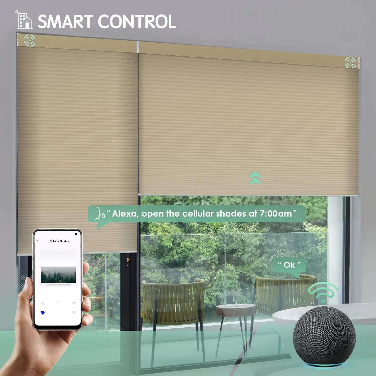 Light coffee motorized light-filtering cellular shades controllable via mobile app or Alexa.