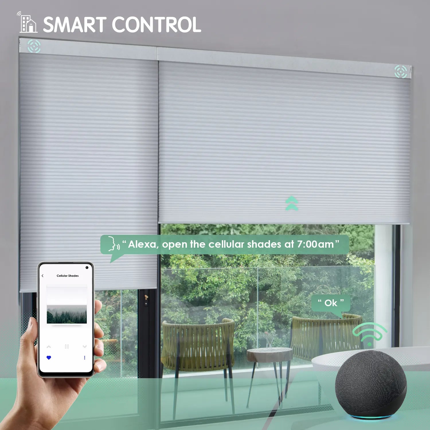 White motorized light-filtering double cell honeycomb shades controllable via mobile app or Alexa.