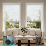 Motorized light filtering roller shades with v-haze white fabric, delivering soft daylight while minimizing glare.