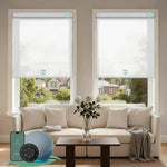 Motorized light filtering roller shades with pure white fabric, delivering soft daylight while minimizing glare.