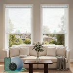 Motorized light filtering roller shades with v-starry white fabric, delivering soft daylight while minimizing glare.