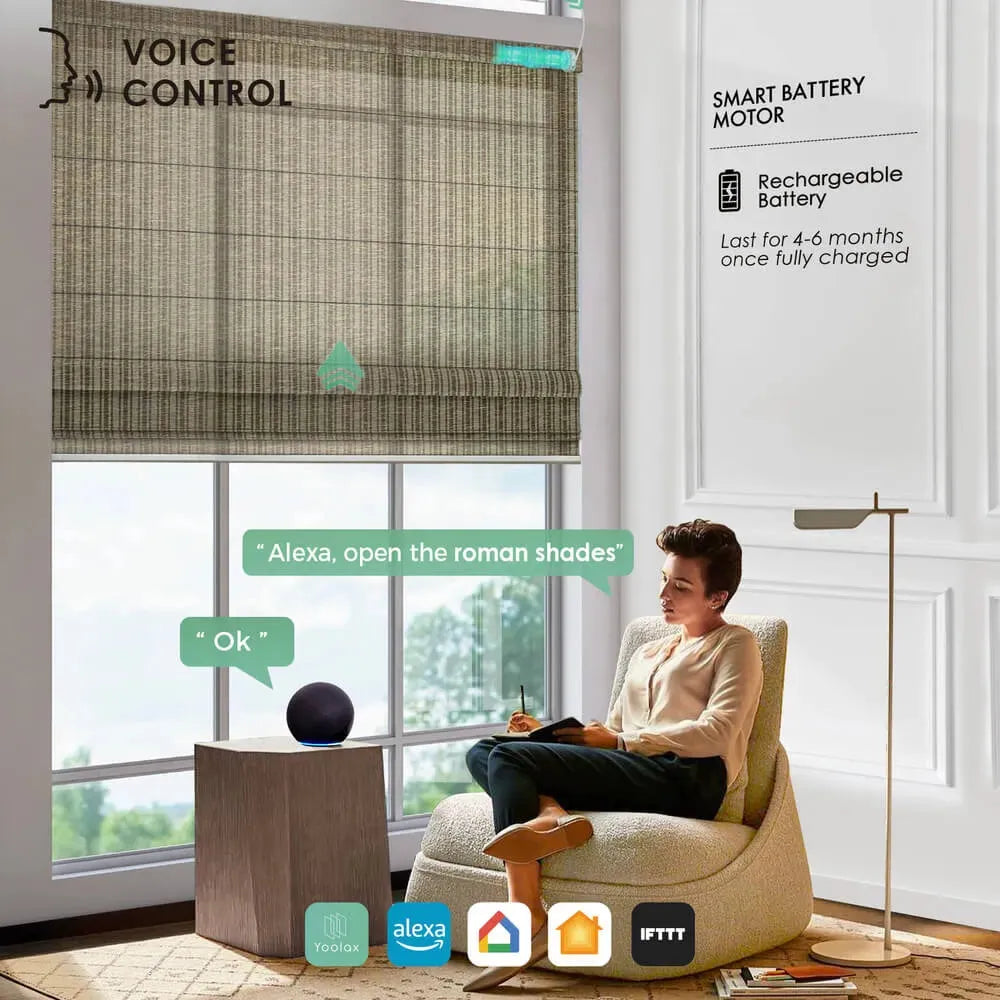 Supports voice control with Alexa, Google Home, and Apple HomeKit