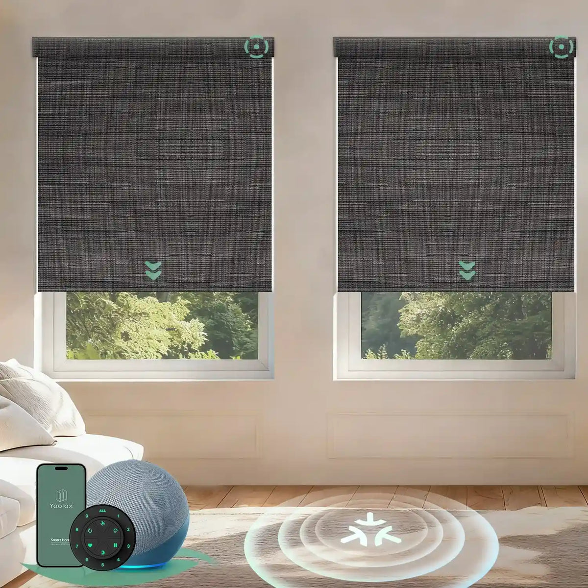 Motorized roller shades with Matter motor in blackout black brown, offering smooth operation, precise light control, and smart home integration.