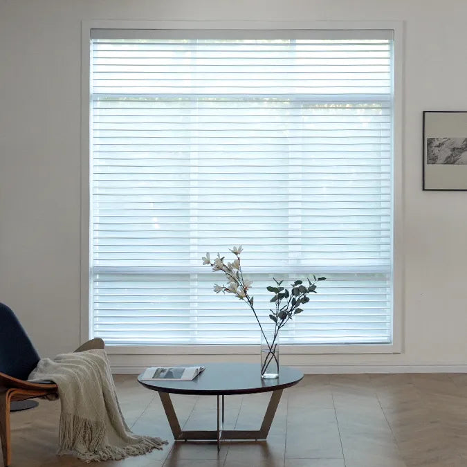 Shop motorized horizontal sheer shades for soft light and modern style