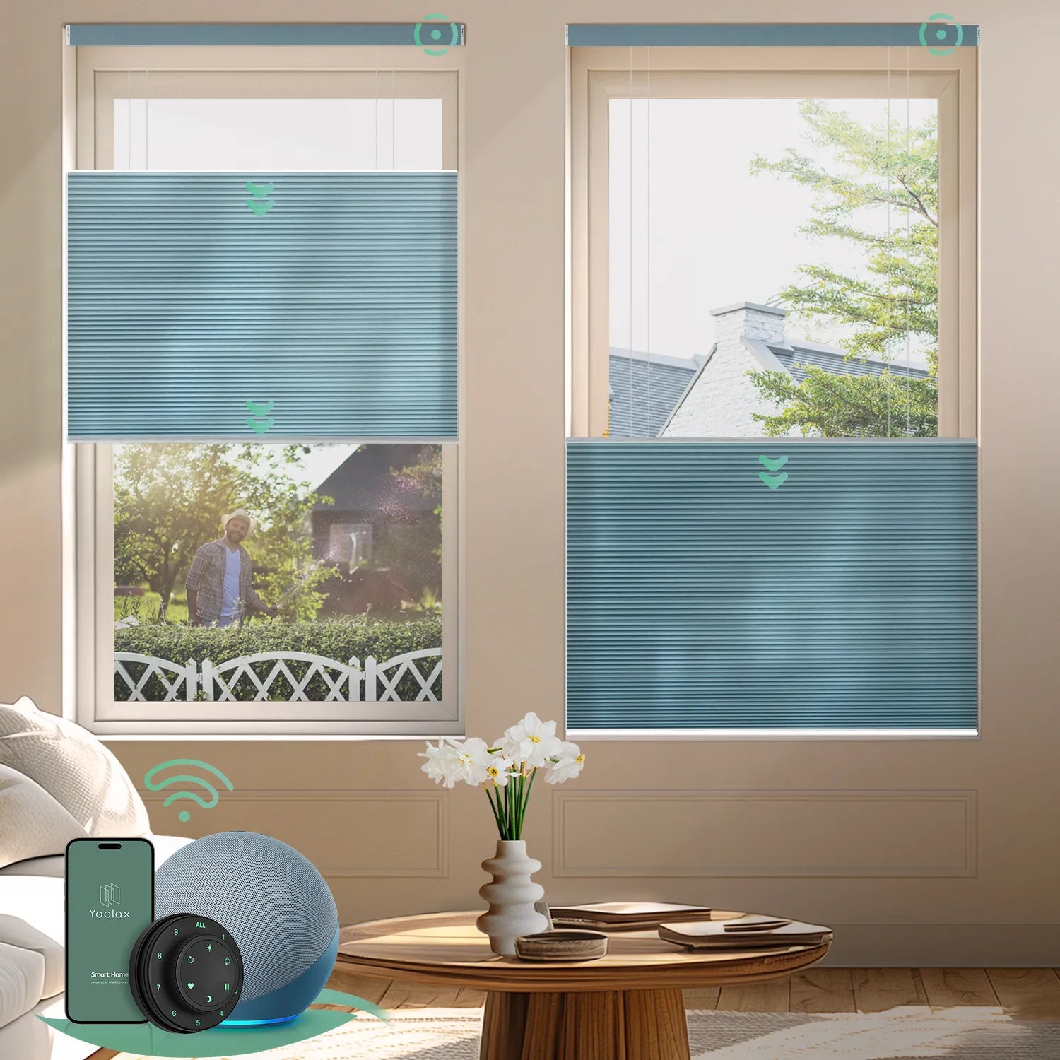 Blue motorized top down bottom up light-filtering cellular shades for flexible light control and enhanced privacy.