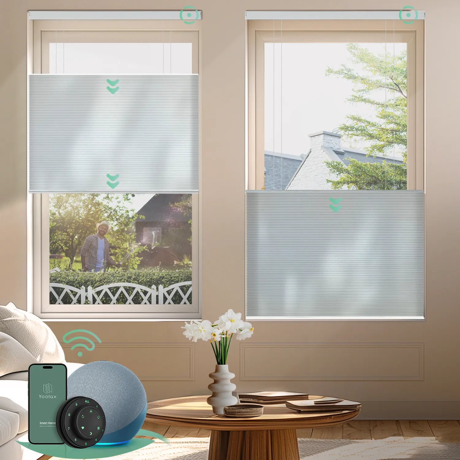 White motorized top down bottom up light-filtering cellular shades for flexible light control and enhanced privacy.