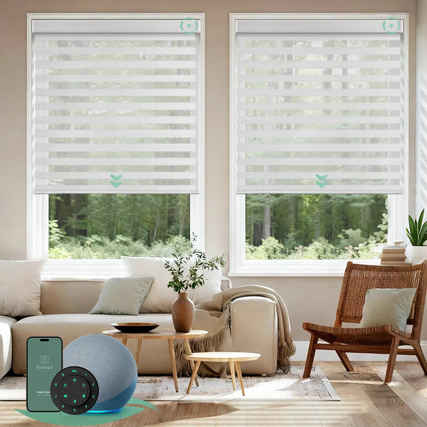 Motorized-zebra-blinds-room-