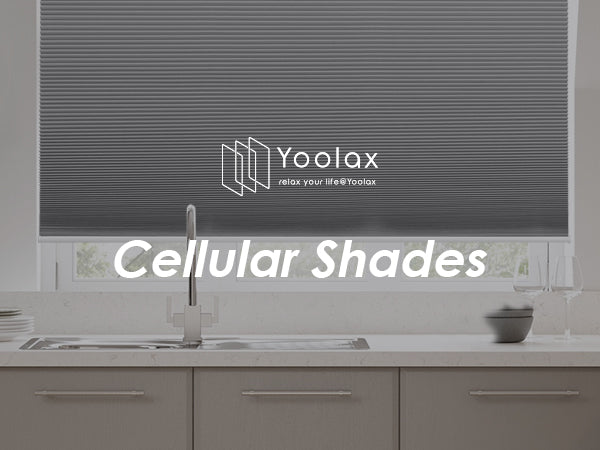 Yoolax