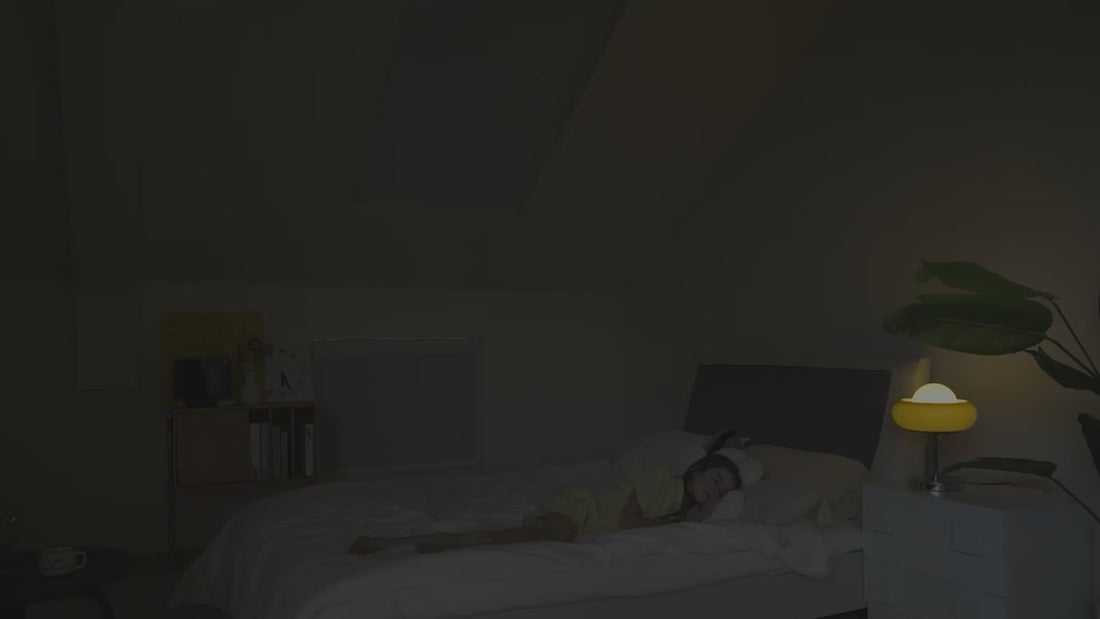 Smart Motorized Skylight Shades with Remote Control for Hard-to-Reach Windows